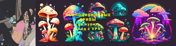 СК Надым