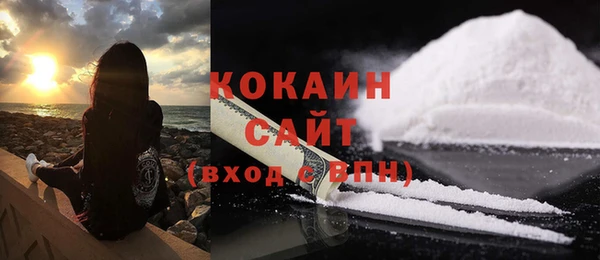 крисы Нея