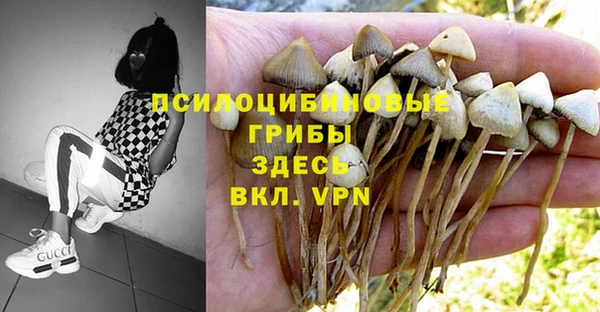 спиды Наволоки