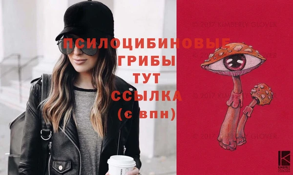 крисы Нея