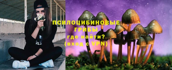 спиды Наволоки
