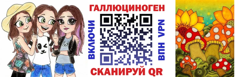 дарк нет телеграм  omg как зайти  Муравленко  Псилоцибиновые грибы Cubensis 
